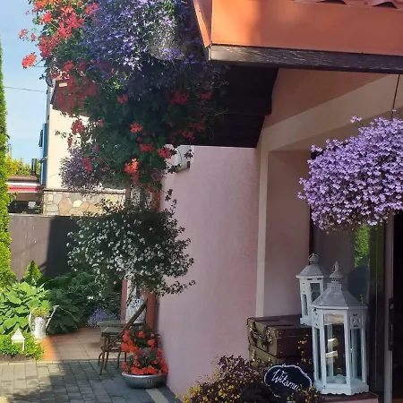 Admiral База отдыха Леба